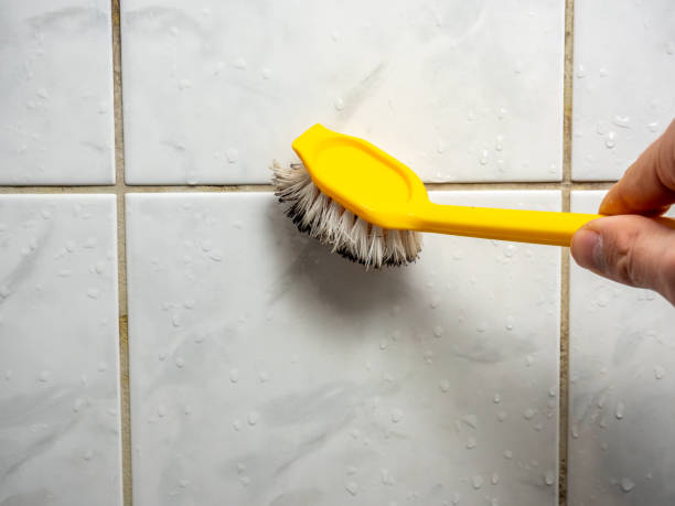 Best Water Damage Restoration  in Barboursville, WV
