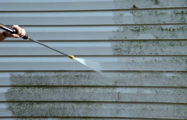 Professional Mold Removal in Barboursville, WV