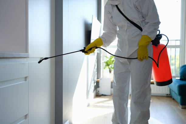 Best Mold Removal Company Near Me  in Barboursville, WV