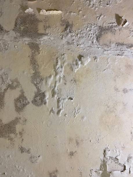 Water Damage Restoration in Barboursville, WV